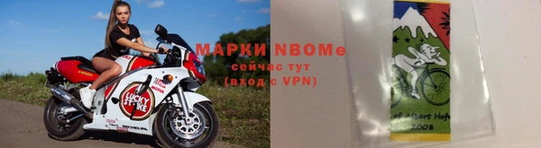 стаф Верея
