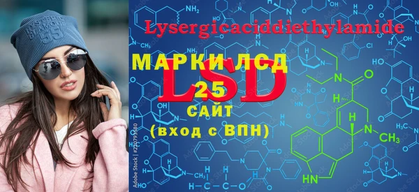 стаф Верея
