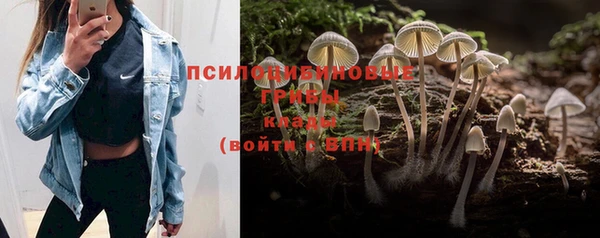 амфетамин Бородино