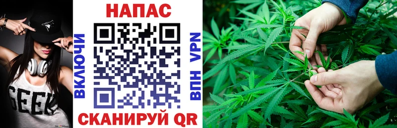 Канабис план купить цена Камешково